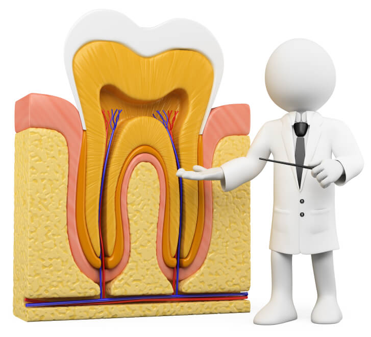 What Is An Endodontist